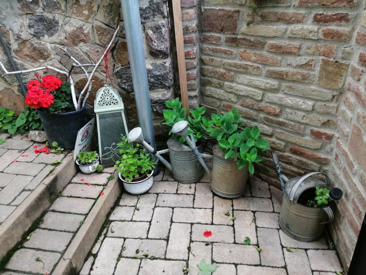 Mives Vendeghaz Otel Pogány Dış mekan fotoğraf