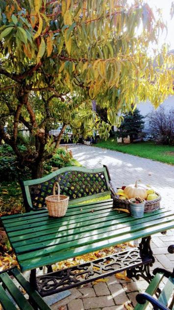 Mives Vendeghaz Otel Pogány Dış mekan fotoğraf