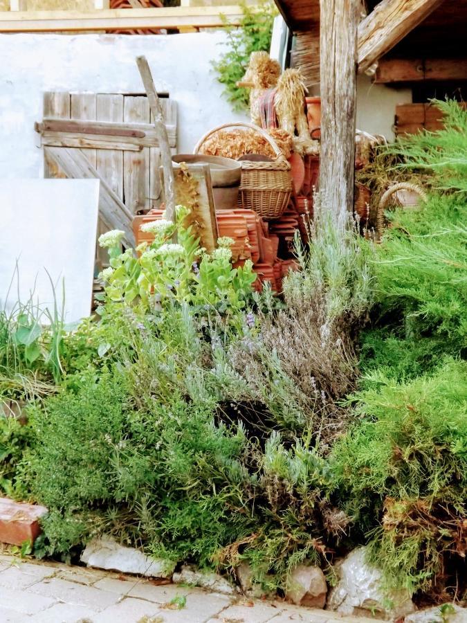 Mives Vendeghaz Otel Pogány Dış mekan fotoğraf