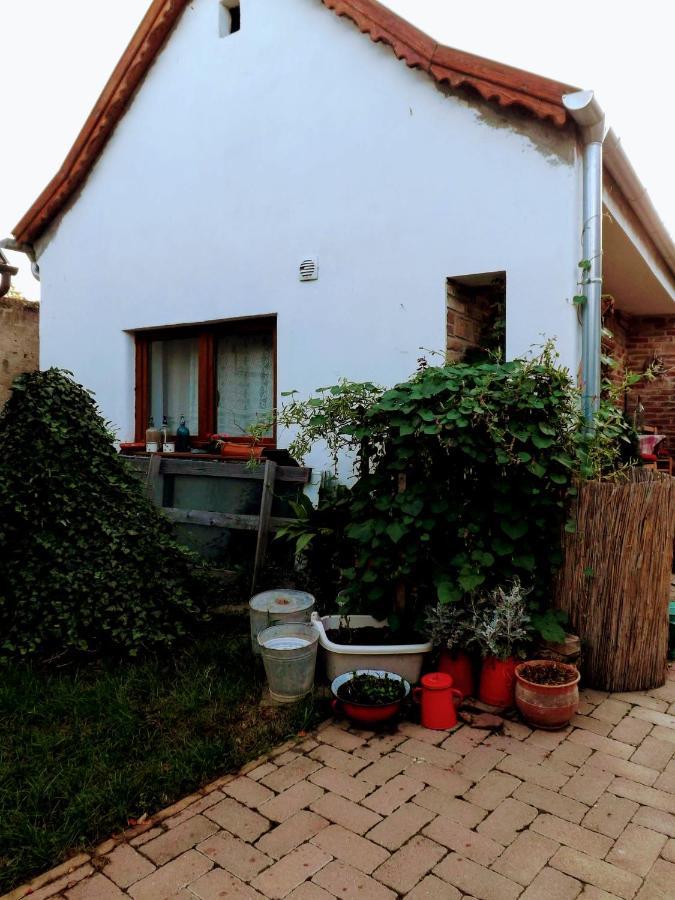 Mives Vendeghaz Otel Pogány Dış mekan fotoğraf