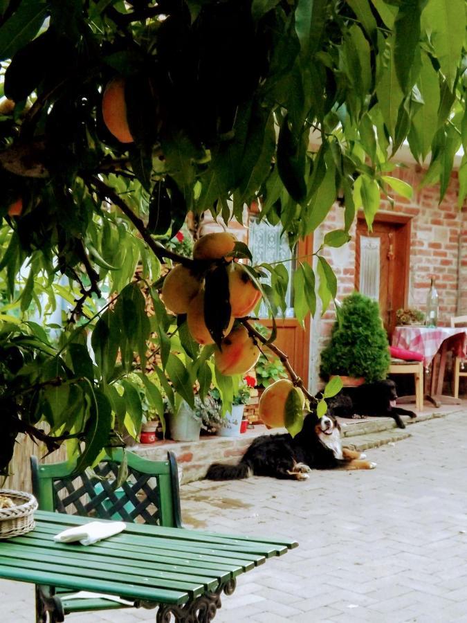 Mives Vendeghaz Otel Pogány Dış mekan fotoğraf