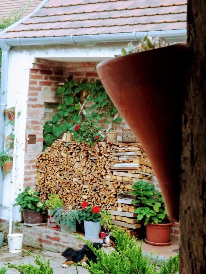 Mives Vendeghaz Otel Pogány Dış mekan fotoğraf